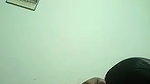 cute Punjabi girl gives blowjob to BF