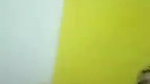 cute Punjabi girl gives blowjob to BF
