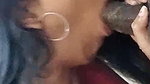 sexy Lankan girl blowjob sex MMS