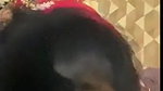 Desi house maid giving blowjob to owner