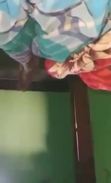 Frame 10