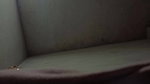 Pakistani mature Bhabhi illicit sex video with audio