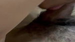 Sexy Horny Babe Giving Blowjob