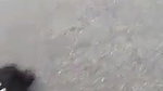 VID 20260503 WA02321