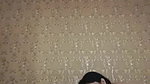 video 20260503 132732 edit