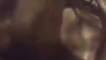 shaggy boobs girl live mastrubation video