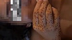 young newly married wife put condam in mouth