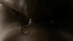 Indian Sexy Horny Babe Giving Blowjob