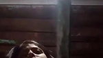 sexy Desi girl striptease nude video