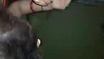 sexy Bhabhi giving blowjob