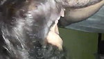 sexy Bhabhi giving blowjob