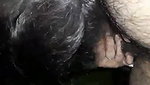 sexy Bhabhi giving blowjob