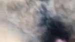 hairy pussy Bhabhi enjoying sex at night