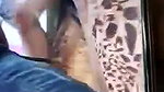 Desi Bhabhi Pussy Licking and Fucking