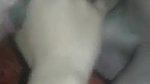 slim Indian wife illicit sex with lover