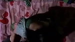 Bangladeshi cheating wife illicit sex with young guy