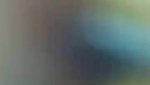 Telegu couple outdoors nude blowjob sex