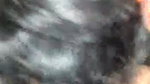 Muslim teen girl blowjob sex with BF