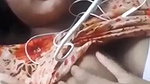 Bangladeshi Gf showing boobs and pussy