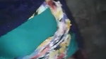 Indian Dehati girl quick sex with secret lover
