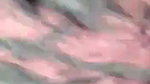 Indian Dehati girl quick sex with secret lover