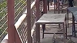 college girl outdoor sex with lover