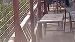 college girl outdoor sex with lover