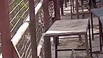 college girl outdoor sex with lover