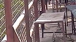 college girl outdoor sex with lover