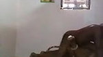 sexy Tamil wife sex video