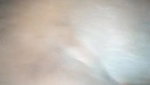 Pakistani Randi anal sex with customer