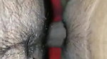 close up sex with gf