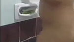 web cam couple sex