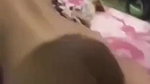 malay girl fucked in doggy style