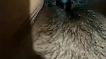 Stripchat girl putting bottle I pussy