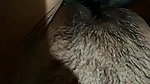 Stripchat girl putting bottle I pussy