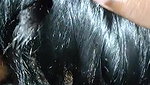 Sexy Cute Lankan Girl Blowjob