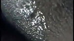 Married Horny Couple Blowjob Fucking