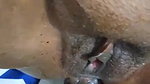 Chubby Wife Hard Anal Fucking Squirting