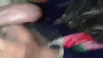 0 desi girl giving blowjob  1