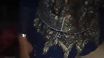 0 desi girl giving blowjob  1
