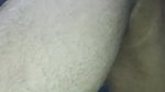 0 horny tanker milf mom showing masturbating 1