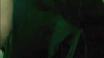 2 sexy bengali horny tiktoker showing fingering oldnew 7