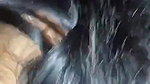 8 0 sexy bengali babe sucking dick one more clip 2