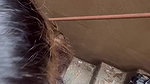 Blowjob on publically