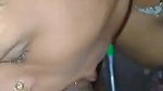 amm le lo