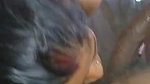 amm le lo