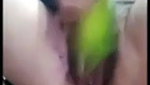 using a big cucumber to satisfy her needs