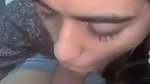 Shy babe giving blowjob
