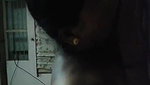 Maid Getting Naked Blowjob